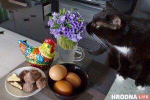 Вялікдзень прамінуў, яйкі засталіся: 3 рэцэпты страў, у якіх вараныя яйкі - галоўны прадукт