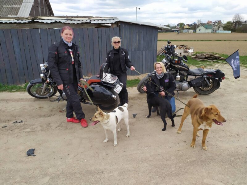 Вместо цветов - корм. Гродненские мотоциклистки посетили приют для животных