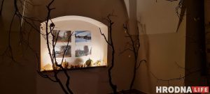 Фотовыставку Наталии Дорош “Карані” открыли в Вильнюсе. Снимки смотрели под стихи Ларисы Гениюш Фотовыставку Наталии Дорош “Карані” открыли в Вильнюсе. Снимки смотрели под стихи Ларисы Гениюш