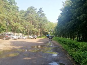 У начала Тропы здоровья в Пышках построят еще один общепит или бизнес-центр (обновлено) У начала Тропы здоровья в Пышках построят еще один общепит или бизнес-центр (обновлено)