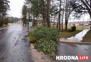 Глядзі карту праверак МНС: у Гродне парушэнняў шмат, але крытычных няма Глядзі карту праверак МНС: у Гродне парушэнняў шмат, але крытычных няма
