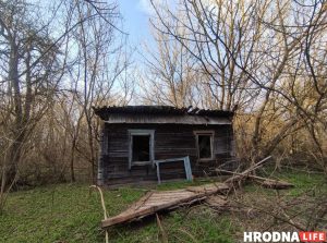 У вобласці не хапае пекараў і цеставодаў: цяжкія ўмовы і нізкія заробкі Вёска