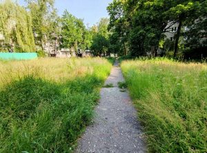 Дороги, темнота, “колхоз-стайл” и “тетя с баяном”. Что бесит гродненцев и как это можно решить