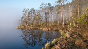 Другі візіт-цэнтр у Азёрах амаль гатовы. Навошта ён патрэбны? Другі візіт-цэнтр у Азёрах амаль гатовы. Навошта ён патрэбны?