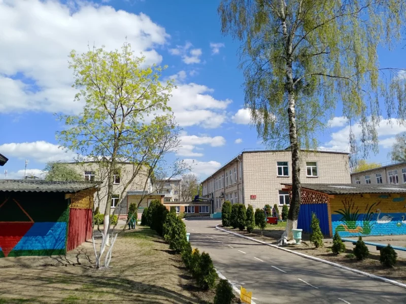 У двары дзіцячага садка ў Гродне спілуюць пяць дрэў Тэрыторыя дзіцячага садка №40 у Гродне, дзе спіляць дрэвы