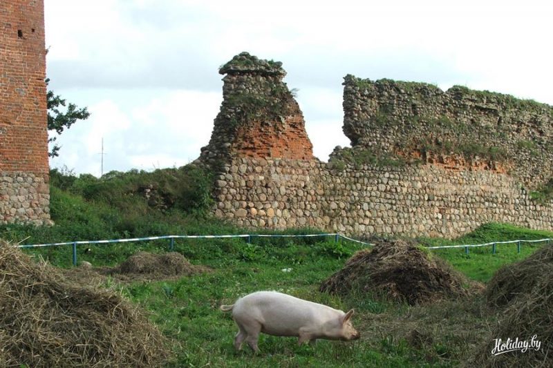 Праз суд ліквідуюць фонд "Крэўскі замак". Ён 18 гадоў вывучаў і дапамагаў захоўваць спадчыну Крэва (абноўлена) Крэўскі замак