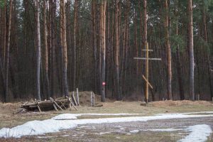 Гродзенскага гісторыка Алеся Смаленчука асудзілі за ўдзел у акцыі пратэсту Залатая горка ў Смаргоні