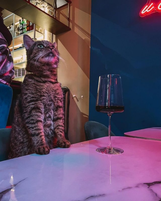 Вінны бар "Чырвоным па белым" ("Кей Бі"). Фота: instagram.com/kb.winery