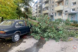 "Уся вада з горада разам са смеццем цячэ да нас". Жыхары вулiцы Працоўнай аб праблемах з Гараднічанкай Шквалісты вецер у Гродзенскай вобласці ламаў дрэвы - МНС выязджала іх убіраць