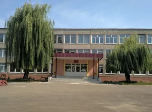 У гімназіі №5 падчас урокаў памерла 12-гадовая дзяўчына Гімназія 5