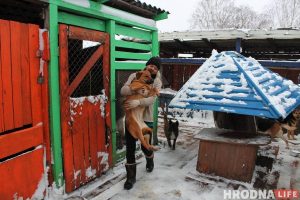 Гродзенскія зоаабаронцы шукаюць домік для сабак - стары знясуць пад новы мікрараён Домік для сабак "Преданное сердце" ў Лапенках