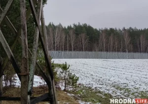 Агароджа на мяжы Польшчы і Беларусі павінна перашкодзіць нелегальным мігрантам у Гродне трапляць у Польшчу
