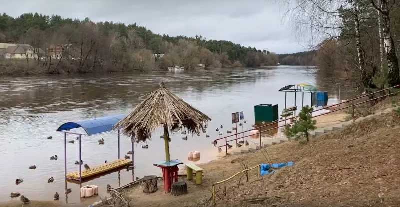 У Гродне затапіла пляжы. Чаго чакаць ад Нёмана ў бліжэйшыя дні? Пляж у Пышках на Нёмане затапіла
