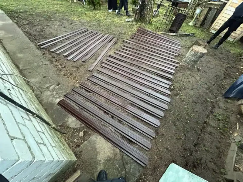 Выкопал более 100 туй. В Гродно задержали мужчину, который 8 лет похищал деревья