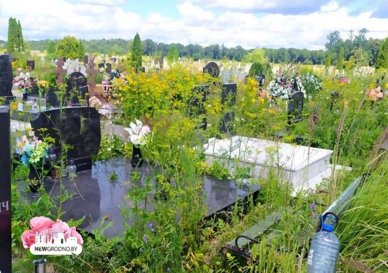 Могілкі «Аульс»