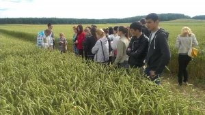 Гродзенскі аграрны ўніверсітэт адсудзіў $75 тыс. у выпускнікоў за неадпрацаванае размеркаванне студэнты аграрнага ўніверсітэта