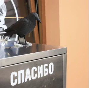 “Нас дыскрэдытуюць”. Уладальнік кафэ, на якое скардзяцца гродзенцы, паабяцаў дайсці да суду  Кафэ на Савецкай пасля ўборкі. Бачная новая сметніца і адпужвальнік птушак. Фота: grodnonews.by