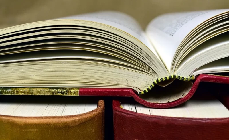 Гродзенцы прапануюць назваць адну з вуліц горада ў гонар Лідзіі Ялоўчык. Хто гэта такая? Кнігі. Фота ілюстрацыйнае: pixabay.com