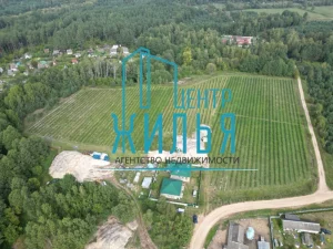 Пад Гроднам прадаюць гатовы бізнес па вырошчванні дурніц  Бізнес па вырошчванні дурніц. Фота: "Цэнтр жылля"