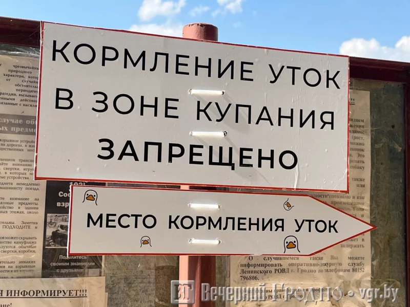 У Гродне з’явіліся апараты для кармлення птушак — іх усталявалі гродзенскія прадпрымальнікі