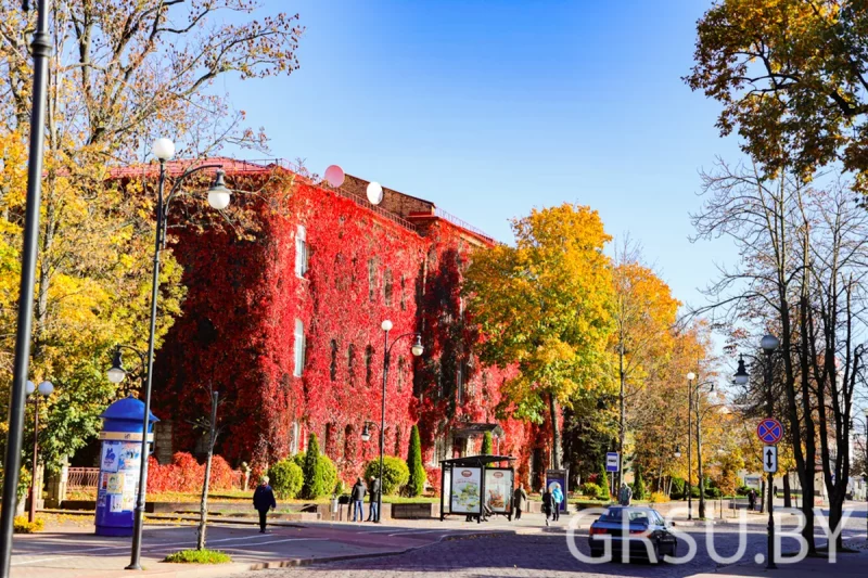 У ГрДУ ўпершыню раскажуць пра ўніверсітэт бацькам школьнікаў - будзе і YouTube-трансляцыя Гродзенскі дзяржаўны ўніверсітэт, галоўны корпус