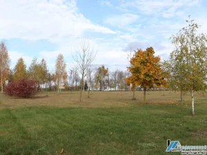 Паміж могілкамі і "Гродна Азот" пабудуюць гандлёва-выставачны цэнтр Участак каля "Гродна Азот" і могілак. Фота: гродзенскі цэнтр нерухомасці