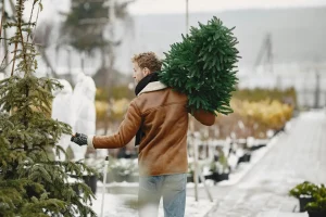 дзе купіць навагоднюю ёлку ў гродна?