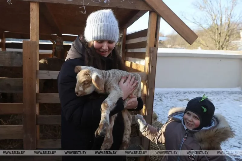 Жывая батлейка каля Каложскай царквы ў Гродне. Фота: БелТА