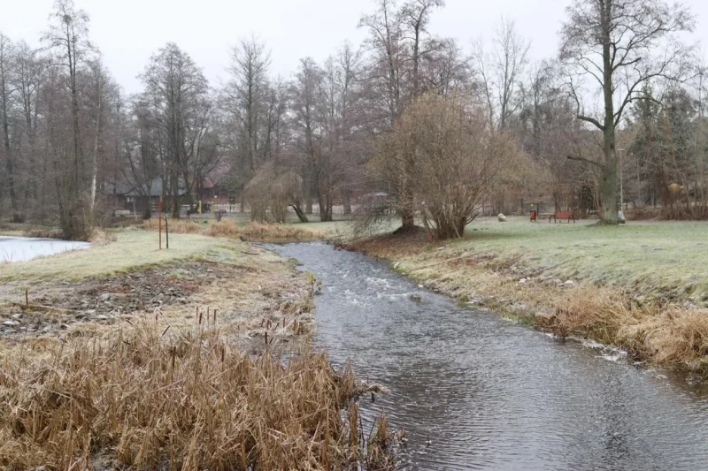 У мястэчку Белавежа недалёка ад польска-беларускай мяжы. Фота: Hrodna.life / MOST
