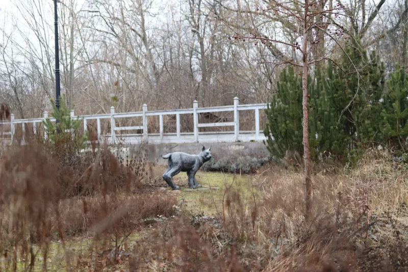 З польскага боку Белавежскай пушчы. Фота: Hrodna.life / MOST