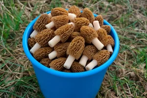 Гуляй, назірай, вучыся. 7 гродзенскіх спосабаў пракачаць мазгі ў вольны час Гуляй, назірай, вучыся. 7 гродзенскіх спосабаў пракачаць мазгі ў вольны час