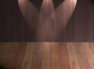 У Гродне адкрываецца тэатральная студыя "ТЕМА" Сцэна.