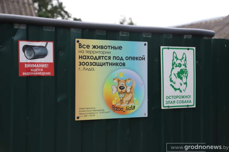 «Жывуць усюды: у доме, хляве, гаражы». У Лідскім раёне суседзі-пенсіянеры і зоаабаронца спрачаюцца з-за 13 сабак і нескошанай травы «Жывуць усюды: у доме, хляве, гаражы». У Лідскім раёне суседзі-пенсіянеры і зоаабаронца спрачаюцца з-за 13 сабак і нескошанай травы