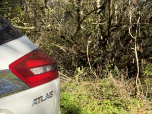 Шматгадовая барацьба: дарогу каля Скідзеля расчысцілі толькі пасля зваротаў мясцовай жыхаркі Дрэвы дарога Скідзель