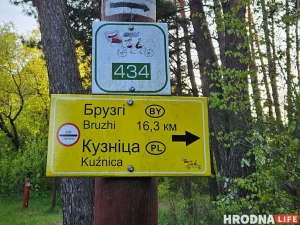 «Чорт яго ведае, што нас яшчэ чакае за ўсходняй мяжой». Польшча ў лістападзе можа адкрыць два пункты пропуску з Беларуссю