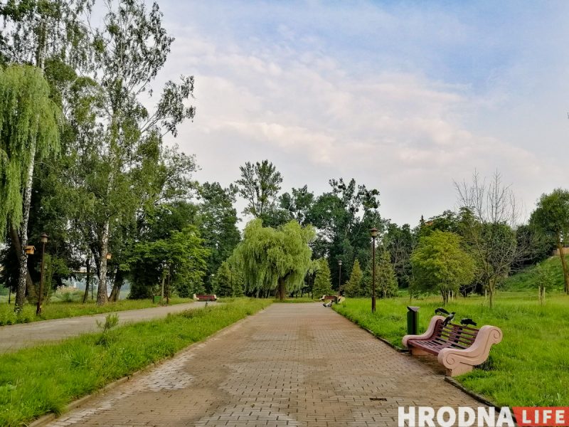 Верагодна, у Гродне стане менш зеляніны - ЖКГ хоча спілаваць дрэвы, якія перашкаджаюць будынкам