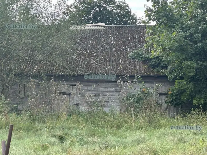 Дом Хільмановіча. Фота: e-auction.by