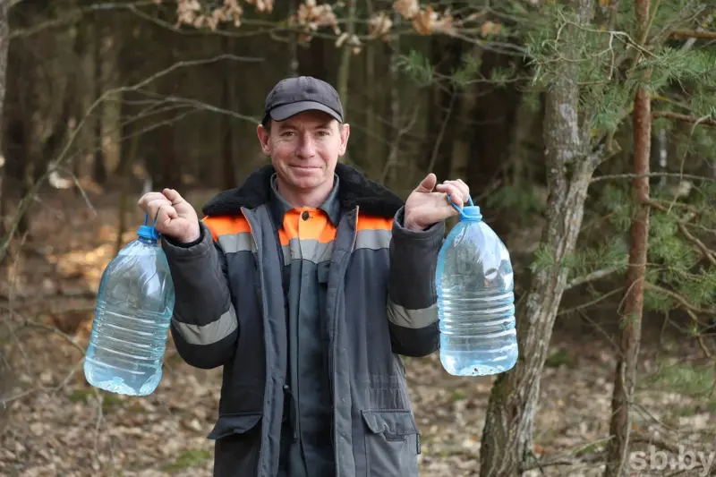 У лясгасах вобласці ўжо можна купіць бярозавы сок. Колькі ён каштуе?