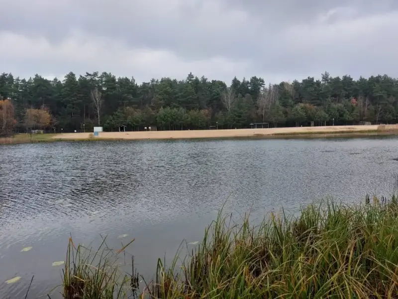 Пад Ваўкавыскам масава гіне рыба – прычыну ўжо ўстанавілі