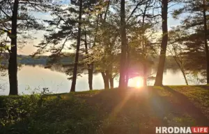 Гродзенская фірма забруджвала лес – у судзе яна спрабавала схітраваць з пробамі Гродзенская фірма забруджвала лес – у судзе яна спрабавала схітраваць з пробамі