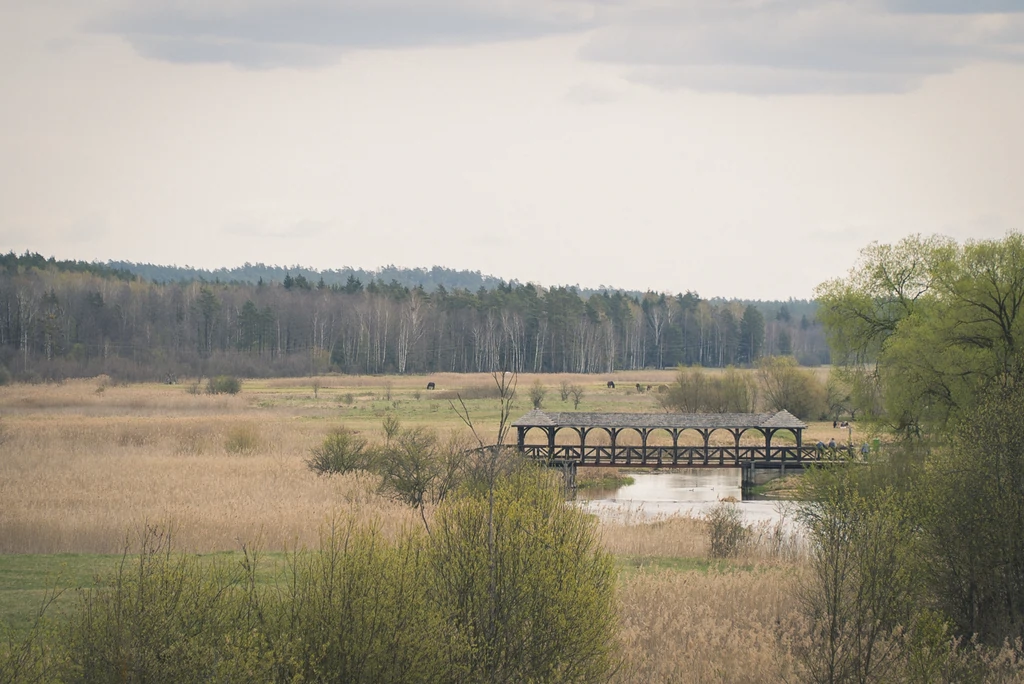 Рака Супрасль у мястэчку Супрасль. Фота: Hrodna.life
