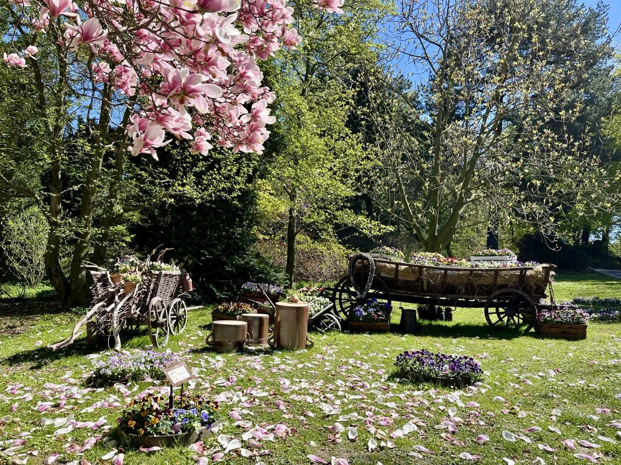 Arboretum Wojsławice