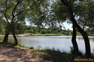 У разгар лета ў Слоніме закрываюць возера — і заадно высякаюць дрэвы