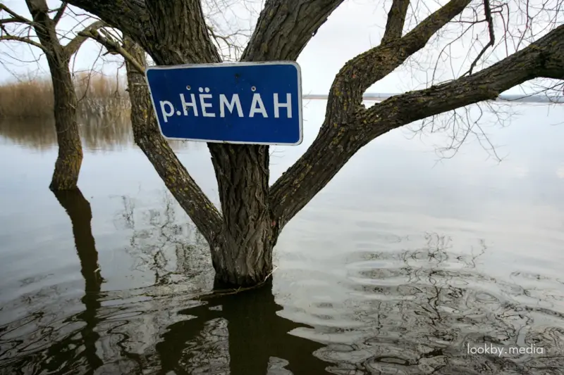 Рака Нёман © LookByMedia